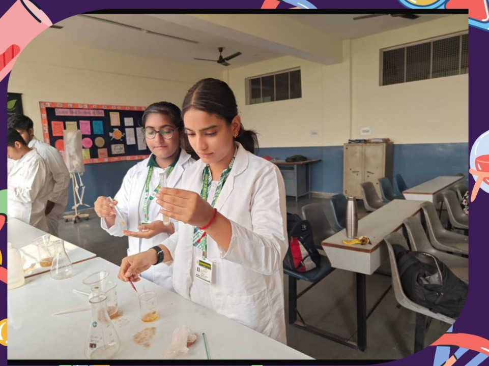 Grade 12 students decoded the blueprint of life with a hands-on DNA isolation experiment