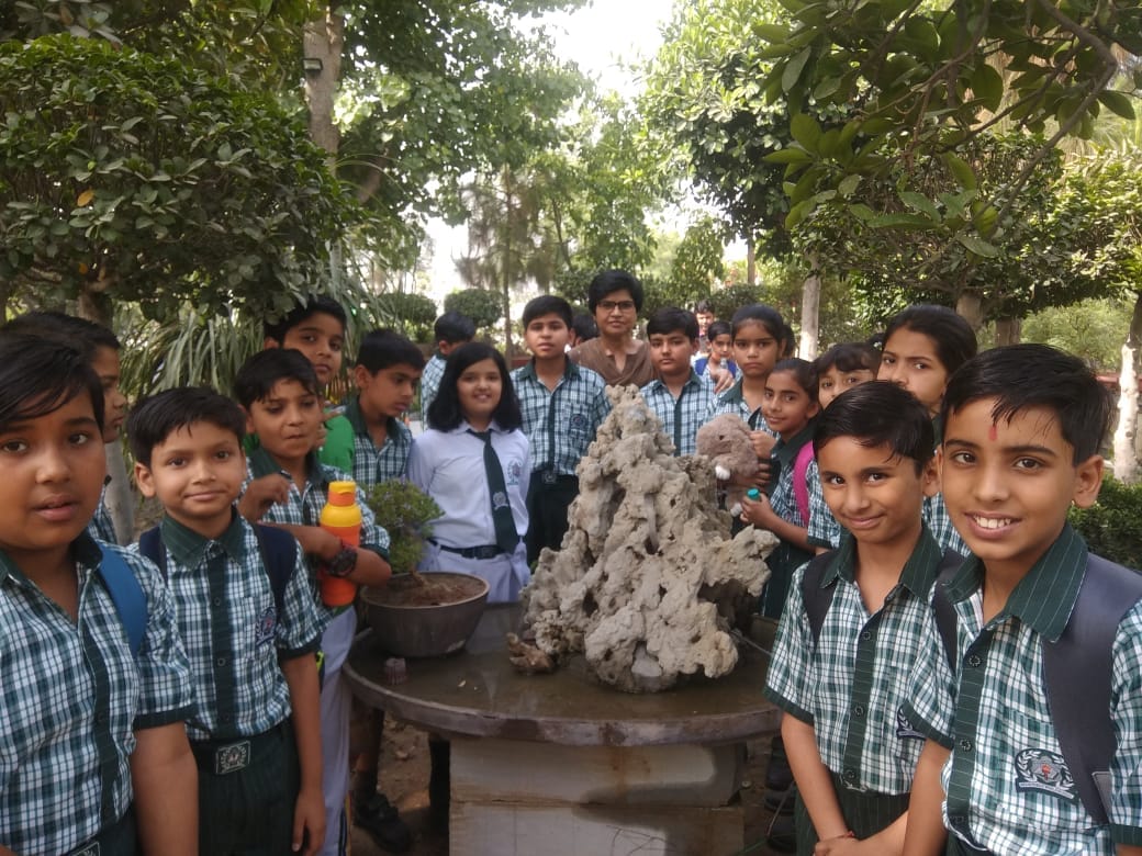 Grade 5 Learners Visited A farm To Learn More about Plants